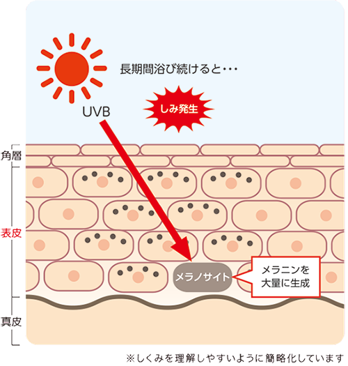 UVのしくみ1