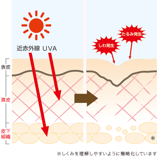 UVのしくみ2