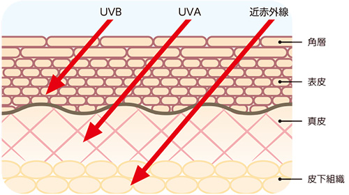 UVのしくみ3